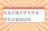 东北石油大学专升本招生计划2025年