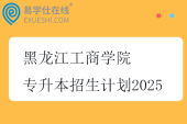黑龙江工商学院专升本招生计划2025