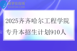 2025齐齐哈尔工程学院专升本招生计划910人