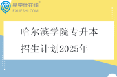 哈尔滨学院专升本招生计划2025年