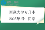 西藏大学专升本2025年招生简章