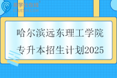 哈尔滨远东理工学院专升本招生计划2025