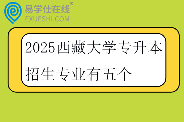 2025西藏大学专升本招生专业有五个