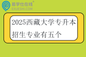 2025西藏大学专升本招生专业有五个