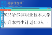 2025哈尔滨职业技术大学专升本招生计划450人