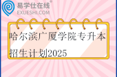 哈尔滨广厦学院专升本招生计划2025