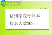 宿州学院专升本报名人数2025