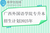 广西外国语学院专升本招生计划2025年