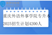 重庆外语外事学院专升本2025招生计划4200人