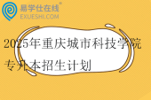 2025年重庆城市科技学院专升本招生计划