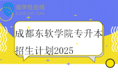 成都东软学院专升本招生计划2025