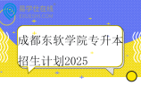 成都东软学院专升本招生计划2025