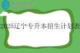 2025辽宁专升本招生计划表