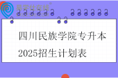 四川民族学院专升本2025招生计划表