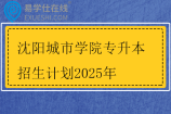 沈阳城市学院专升本招生计划2025年