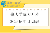 肇庆学院专升本2025招生计划表