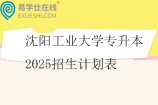 沈阳工业大学专升本2025招生计划表