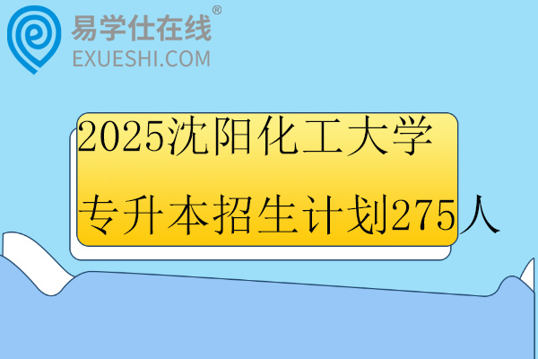 2025沈阳化工大学专升本招生计划