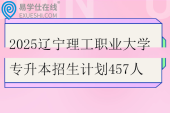 2025辽宁理工职业大学专升本招生计划457人