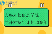 大连东软信息学院专升本招生计划2025年