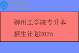 柳州工学院专升本招生计划2025