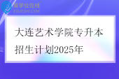 大连艺术学院专升本招生计划2025年