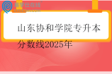 山东协和学院专升本分数线2025年