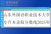 山东外国语职业技术大学专升本录取分数线2025年