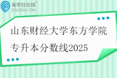 山东财经大学东方学院专升本分数线2025