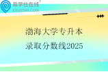 渤海大学专升本录取分数线2025