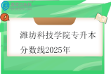 潍坊科技学院专升本分数线2025年