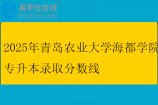 2025年青岛农业大学海都学院专升本录取分数线