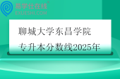 聊城大学东昌学院专升本分数线2025年