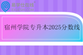 宿州学院专升本2025录取分数线
