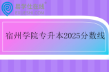 宿州学院专升本2025录取分数线