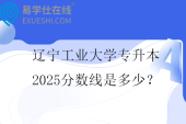 辽宁工业大学专升本2025分数线是多少？