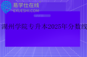 湖州学院专升本2025年分数线