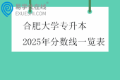 合肥大学专升本2025年分数线一览表