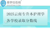 2025云南专升本护理学各学校录取分数线