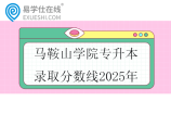马鞍山学院专升本录取分数线2025年