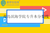 青岛滨海学院专升本分数线2025