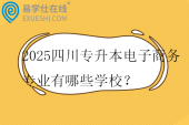 2025四川专升本电子商务专业有哪些学校？