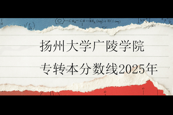 扬州大学广陵学院专转本分数线2025年