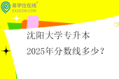 沈阳大学专升本2025年分数线多少？