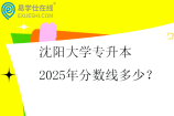 沈阳大学专升本2025年分数线多少？