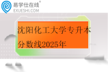 沈阳化工大学专升本分数线2025年
