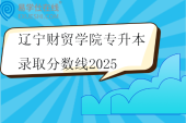 辽宁财贸学院专升本录取分数线2025