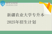 新疆农业大学专升本2025年招生计划