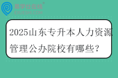 2025山东专升本人力资源管理公办院校有哪些？