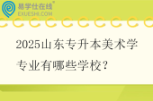 2025山东专升本美术学专业有哪些学校？